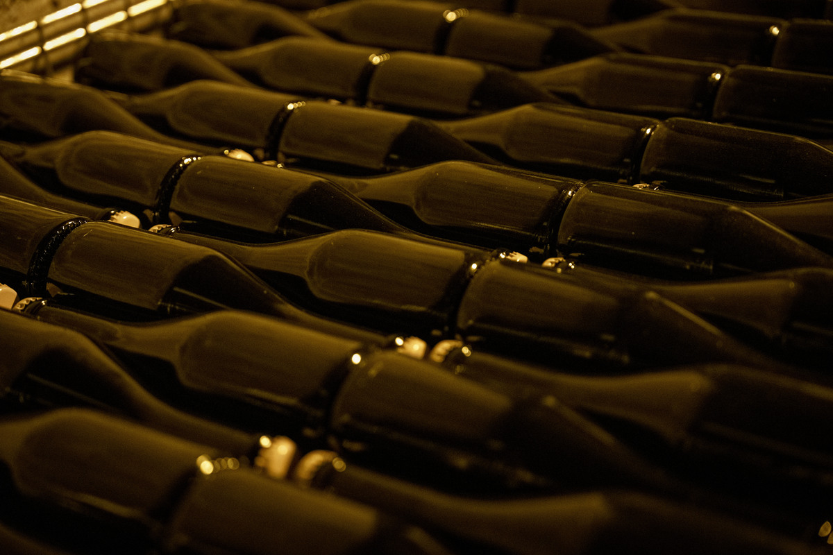 bouteilles de vin rangées